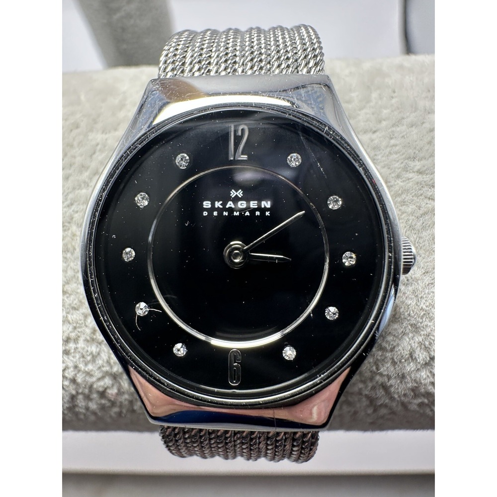 Skagen SKW2156 Ladies Watch 24MM 8.5" New Battery Stainless Mesh Band T14